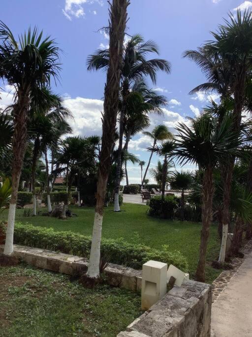 Oceanview & Beach Access 3805 Cancun Dış mekan fotoğraf