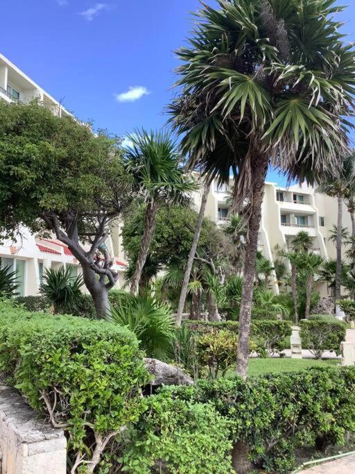 Oceanview & Beach Access 3805 Cancun Dış mekan fotoğraf